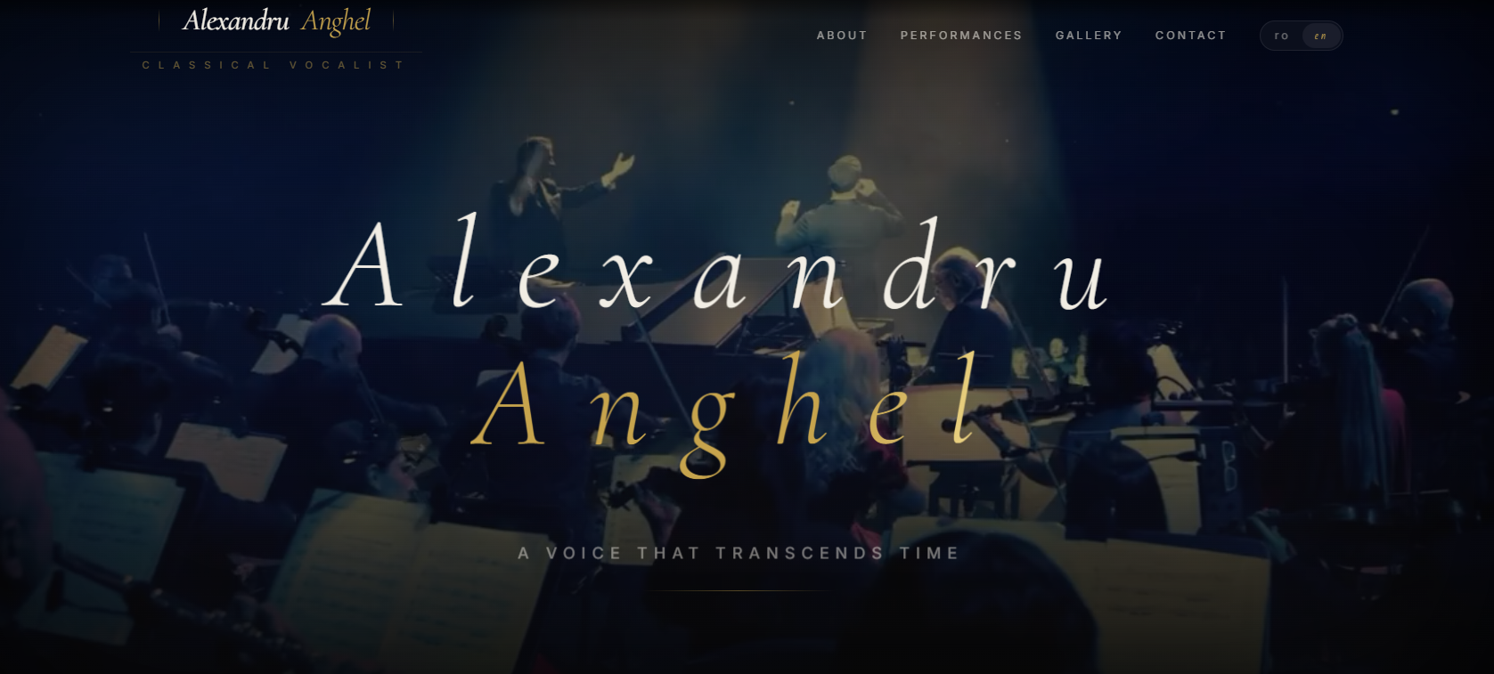 Pagina prezentare artist — Identity